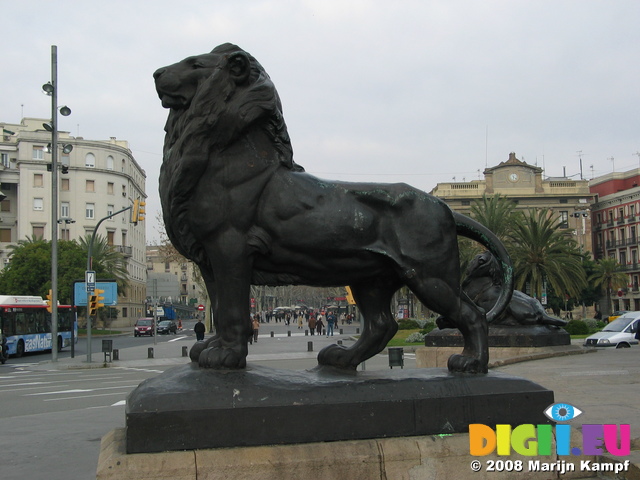 20519 Lion at Mirador de Colon